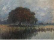 Alexander John Drysdale Oak on the Lower Coast of the Mississippi oil on canvas